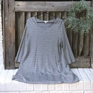 Garnet Hill A-Line Seamed Tunic